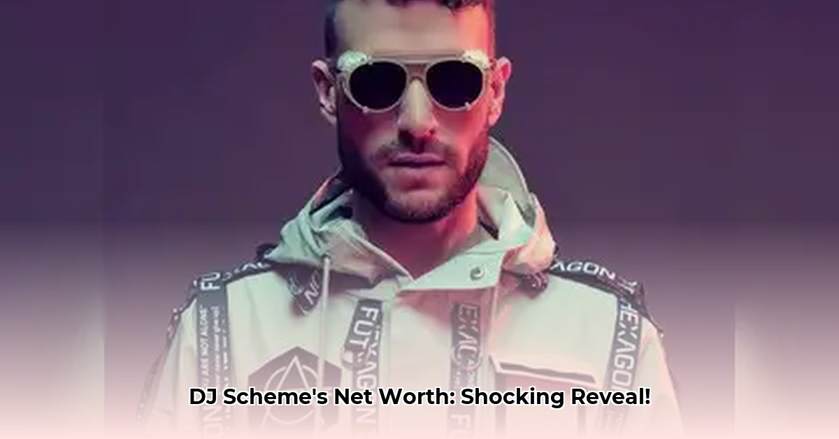 dj-scheme-net-worth